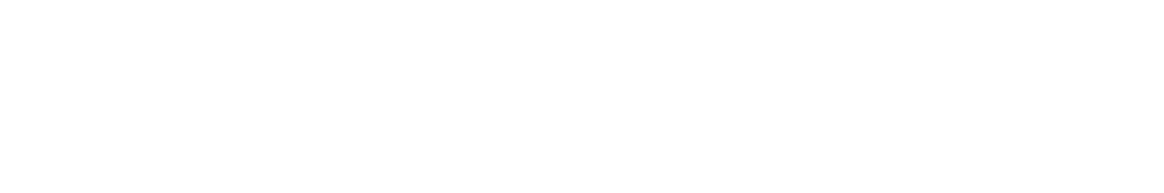 Waumedia ist Shopify Partner